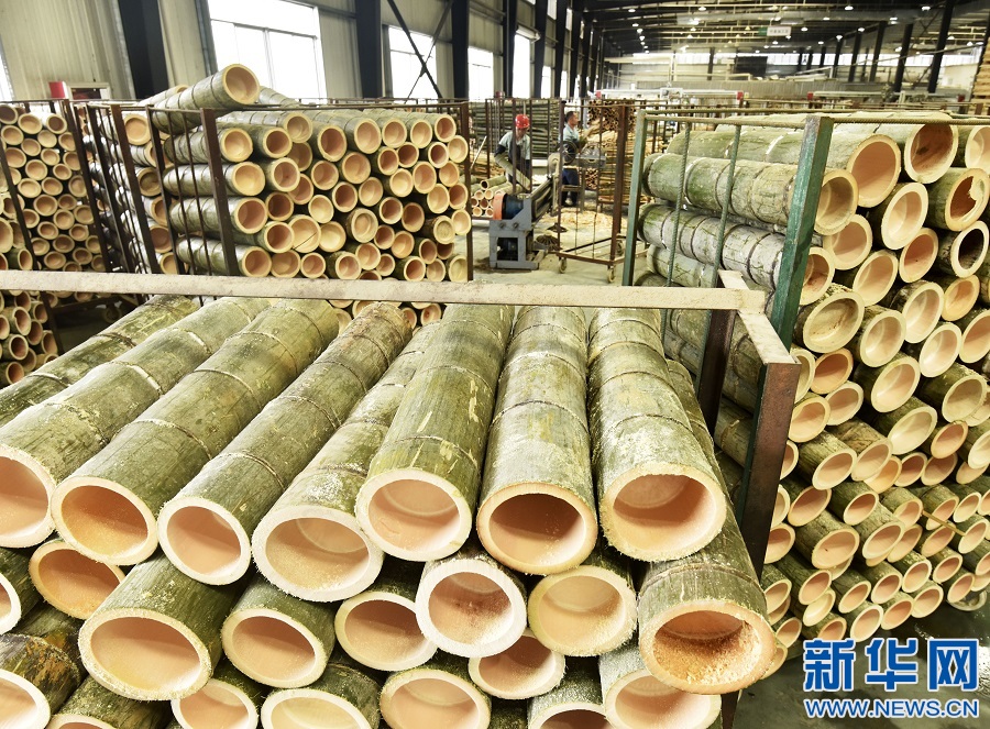 江西資溪:加快毛竹產業轉型升級 推動竹產業高質量發展